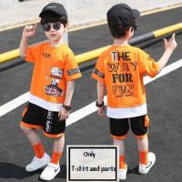 Baby  Polo T-Shirt And Half Pant set