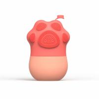 Ice Roller Cum Face Scrubber