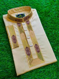 Embroidery Panjabi