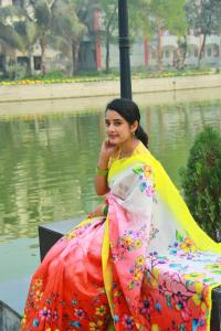 Half Silk Sharee
