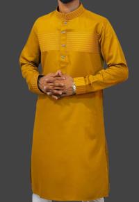 Eid Collection Panjabi