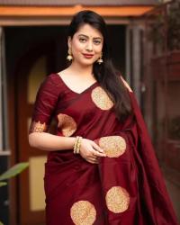 Silk Sharee with Blouse Piece