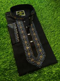 Embroidery Panjabi