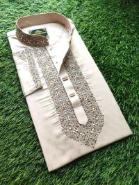 Embroidery Panjabi