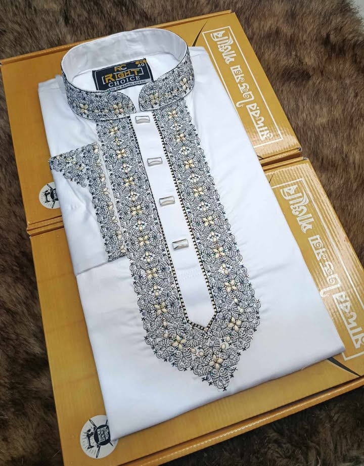 Embroidery Panjabi