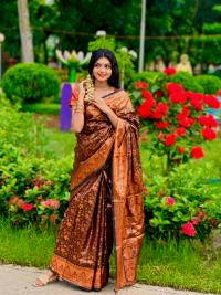 Soft silk katan sharee