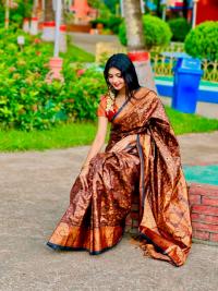 Soft silk katan sharee