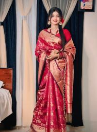 Soft silk katan sharee