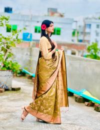 Soft silk katan sharee