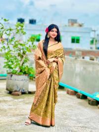 Soft silk katan sharee