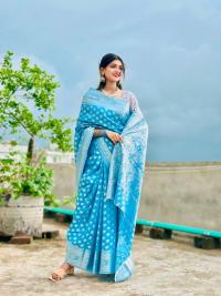 Soft silk katan sharee