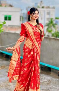 Soft silk katan sharee