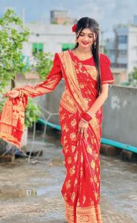 Soft silk katan sharee