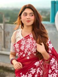 Half silk block print sharee
