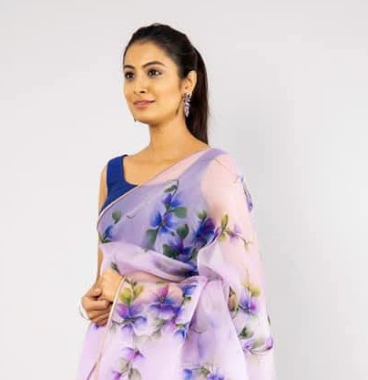 Silk Sharee