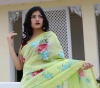 Silk Sharee