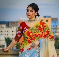 Silk Sharee