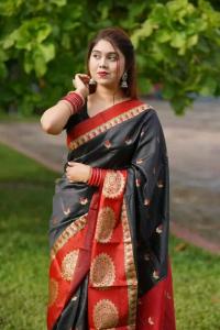 Soft silk katan sharee