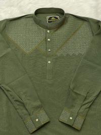 Sequence Embroidery Panjabi
