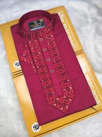 Sequence Embroidery Panjabi