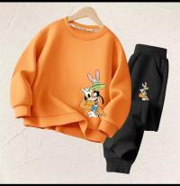 Kids Sweatshirt and Trouser Set