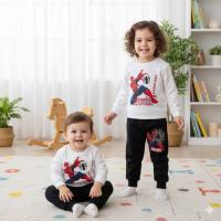 Kids Sweatshirt and Trouser Set