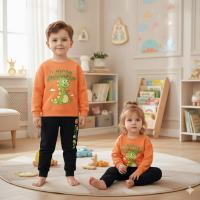 Kids Sweatshirt and Trouser Set