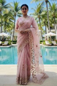 Georgette Organza Saree