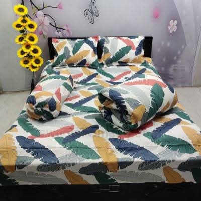 5 Pieces Comforter Set