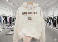 Gents Hoodie for Winter