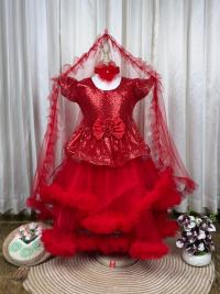 Party Princess Frock – New Arrival