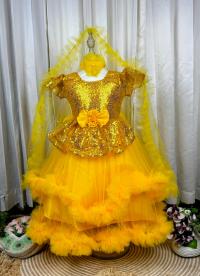 Party Princess Frock – New Arrival