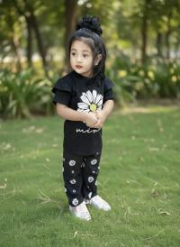 Half Sleeve T-shirt and Pant Set