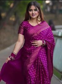 Premium Japani Silk Sharee with Skin Print and Matching Blouse Piece