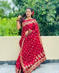 Premium Japani Silk Sharee with Skin Print and Matching Blouse Piece