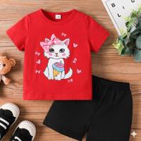 Baby Tshirt and Pant Set