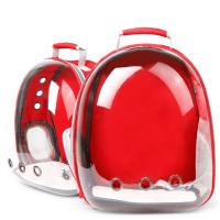 Cute & Stylish Everyday Carry Bag for Cat Lovers