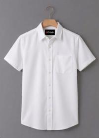 Oxford Cotton Solid Shirt