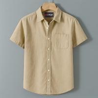 Oxford Cotton Solid Shirt
