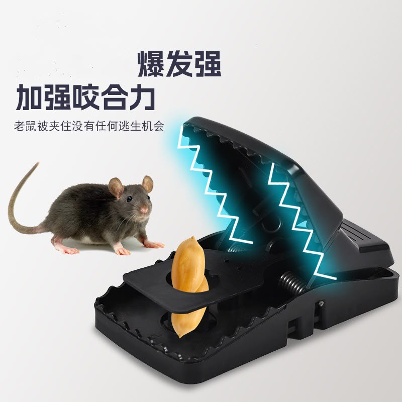 New Mouse Catcher