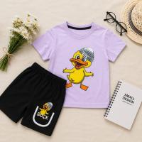 Baby Tshirt and Pant Set