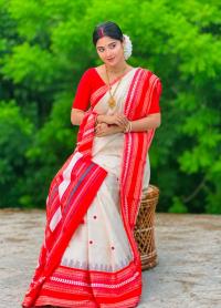 Indian Inspired Assam Silk Saree